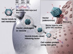 how gene therapy gets delivered