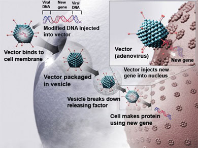 how gene therapy gets delivered