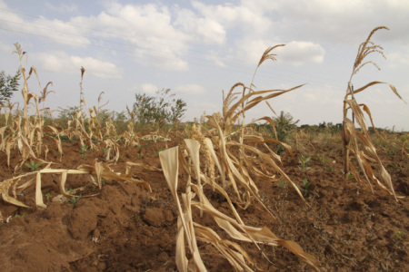 pests move poleward