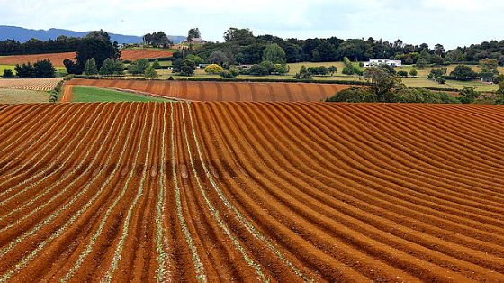 Could_climate_change_wipe_5_trillion_dollars_off_value_farmland