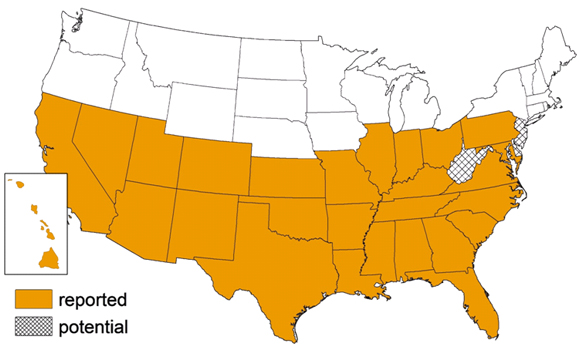 Triatomine Map CDC