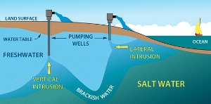 florida-saltwater-intrusion-model