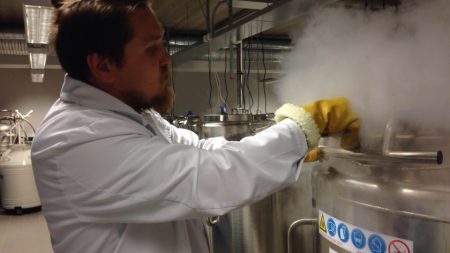Estonia DNA testing