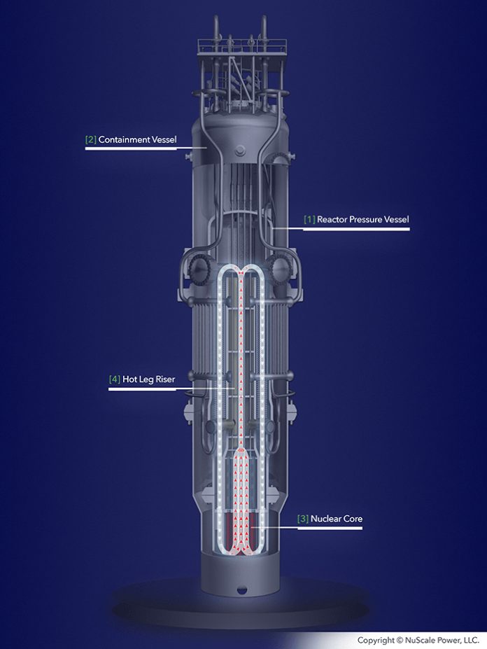 SMR reactor-module