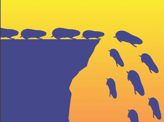 American lemmings