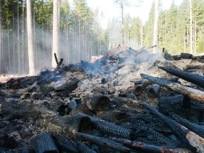 Slash pile burning practices in forestry